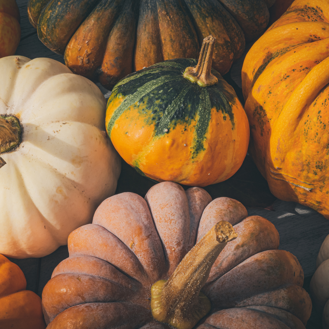 Autumn Vibes image 2