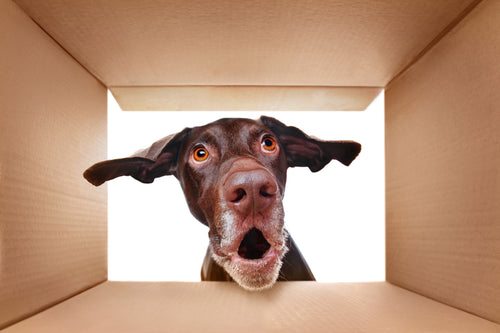 "Wolve" 30 package box image 1