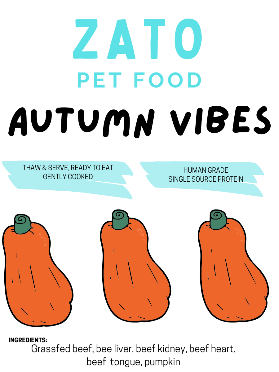 Autumn Vibes image 0